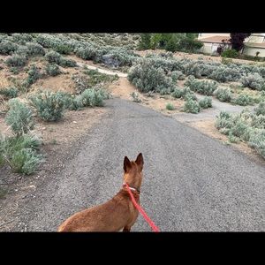 Meet your Posher, Haylee